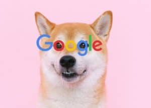 Dogecoin seals the first spot as the most googled cryptocurrency in the U.S.