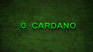 Cardano Key Shark Address Grows By 331 Million After FTX Collapse