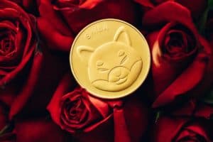 Shiba Inu Scores Second In The Web3 Security Leaderboard