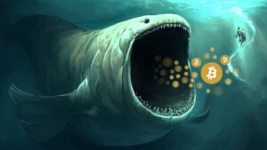 Bitcoin Whales Accumulate Nearly 60,000 BTC Despite Consolidation; Dominance Surges Above 50%