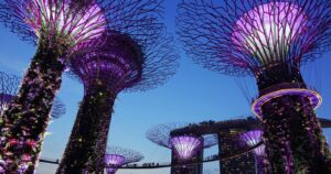 Monetary Authority of Singapore Outlines Common Protocol For Digital Money