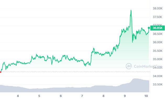 BTC 7D graph coinmarketcap 8