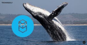 Fantom (FTM) Whales Signal Bullish Run Amidst Short-Term Price Correction