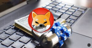 Shiba Inu Surge Sheds Meme Coin Image: 50+ Businesses Accept Crypto Payments