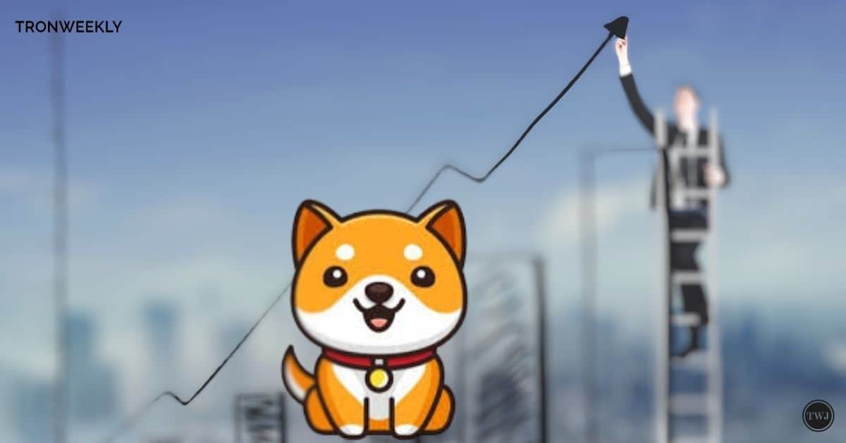 SHIB Rival Baby Doge's Sneaky Contract Move Unveiled