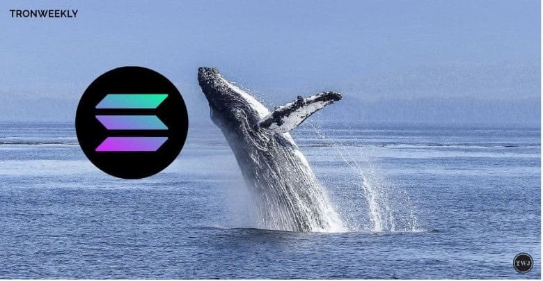 Whale Makes $1.52M Profit with 416.8M $MEW to 16,270 Solana Trade