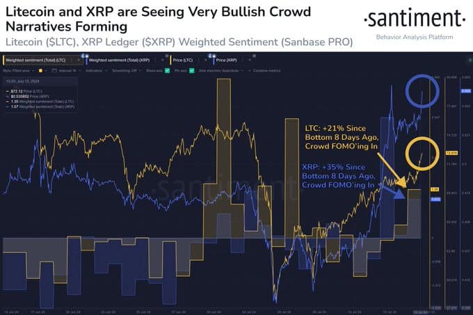 XRP