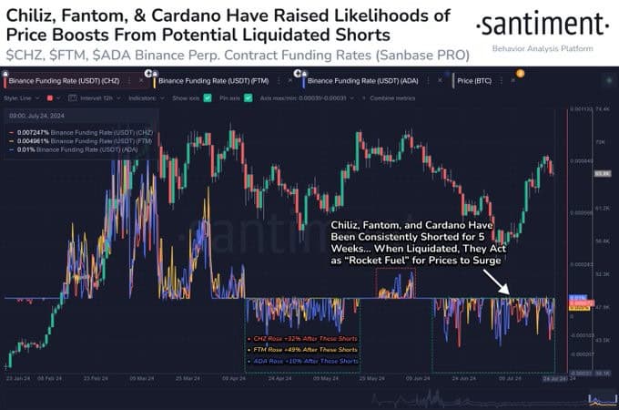 Cardano