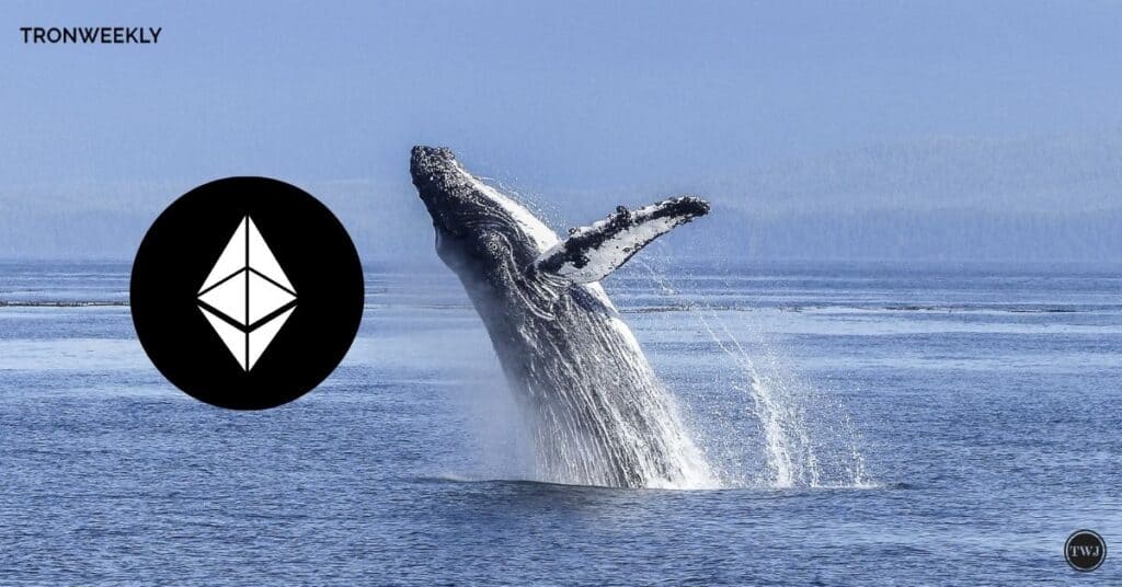 Mega Whales Shake Ethereum: Price Dips Ahead?