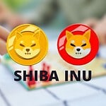 Shiba Inu