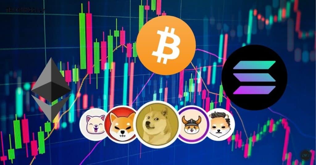 Bitcoins Cycle and Altcoin Opportunities: What to Expect in the Upcoming Bull Run