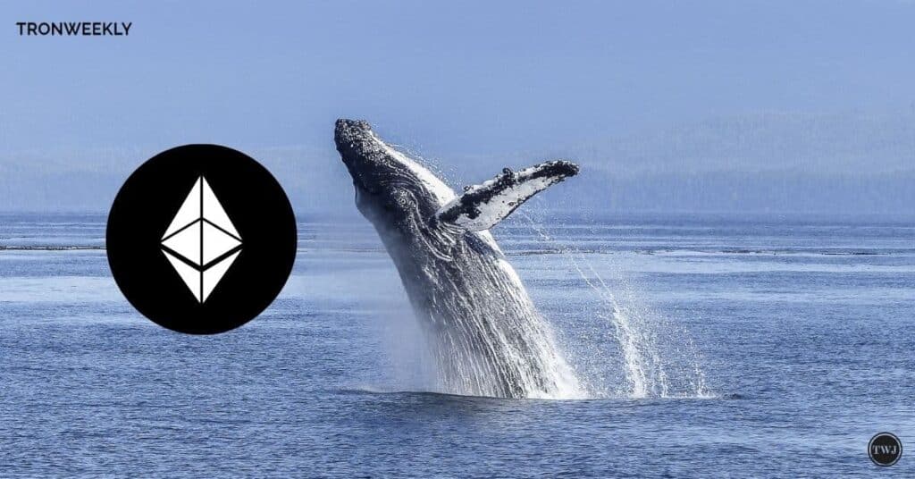 Ethereum Whale  Moves $38.4M To Kraken: Is A Price Drop Coming?