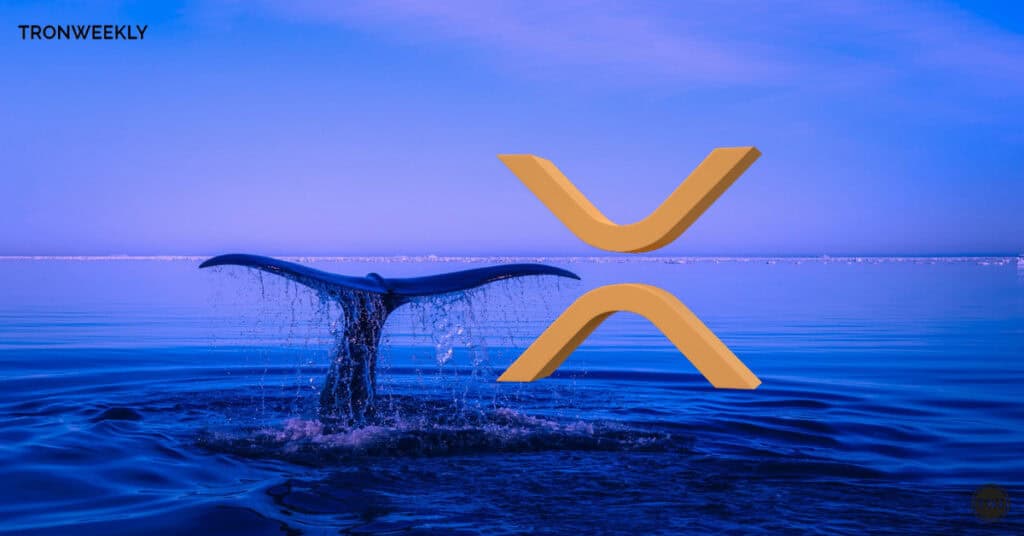 XRP on the Brink of a Bullish Explosion