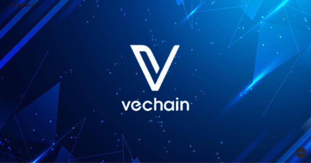 VeChain At 5-Year Low, Setting Stage For Potential Bull Market By 2025