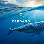 Cardano