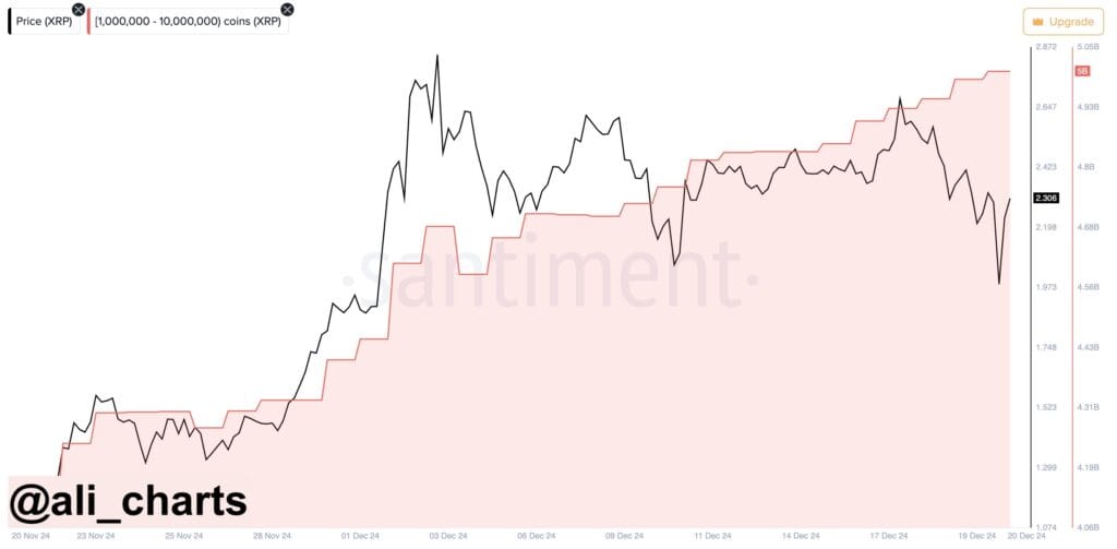 XRP 1