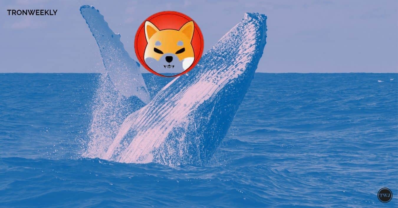 Shiba Inu (SHIB): Dogecoin Killer That Turned $100 into Massive Millions