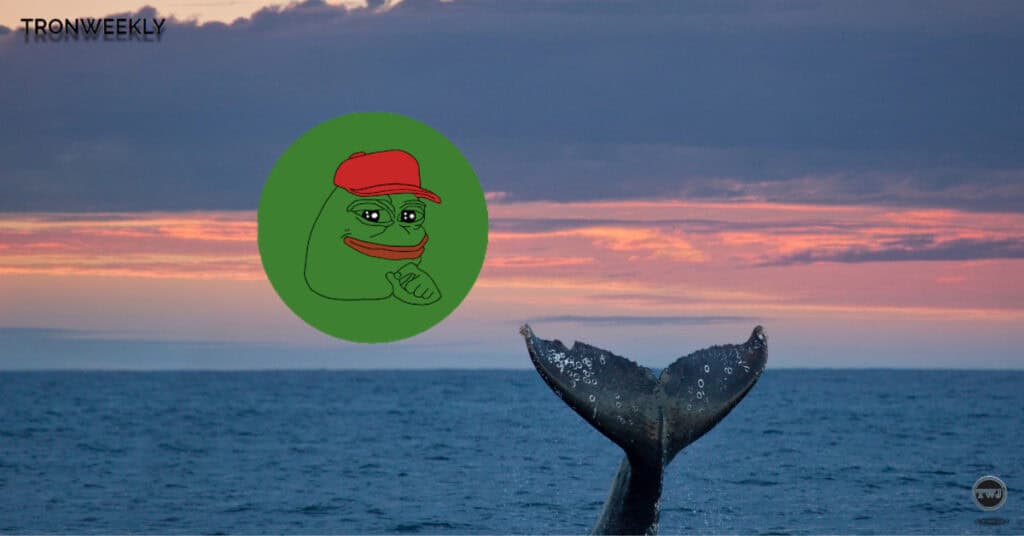 PEPE Coin Whales Make Major Buys as Price Surge Speculation Grows