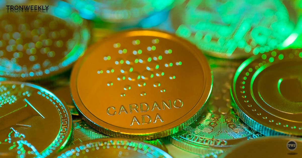 Cardano Activates Plomin Hard Fork, Unlocking $1.6B Treasury Control