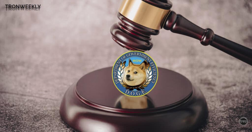 Elon Musks DOGE Project Under Fire: Legal Battle Looms