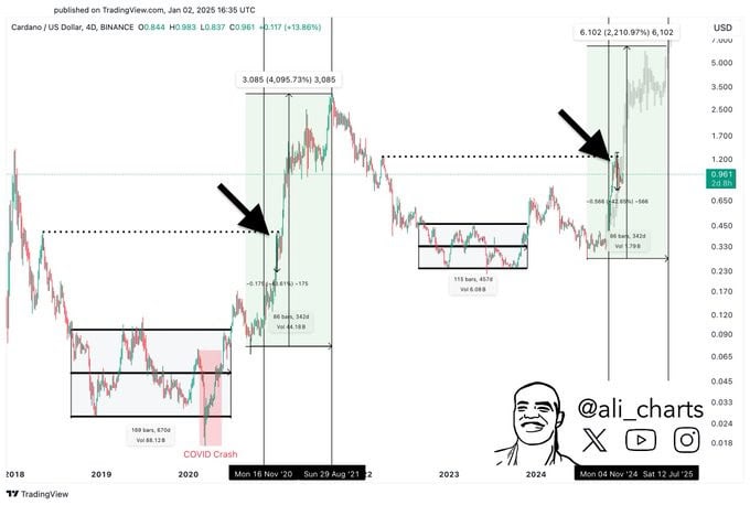 Cardano