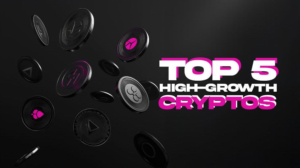 5 Best Crypto