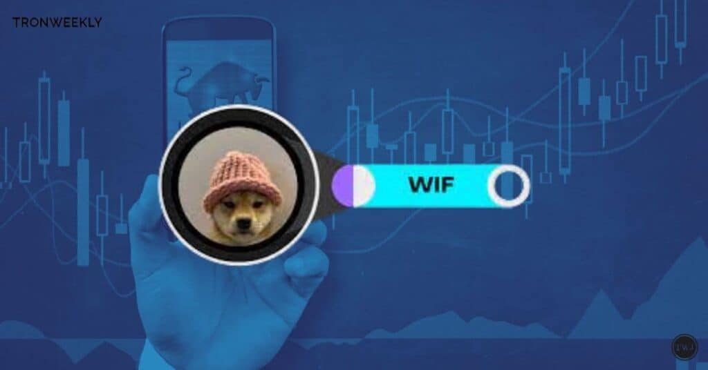 Whats Next for Dogwifhats Las Vegas Sphere Ad After Major Setbacks?