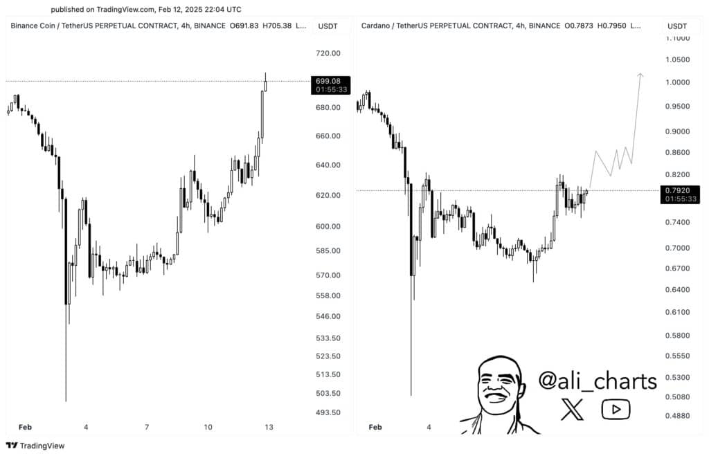 Cardano 10