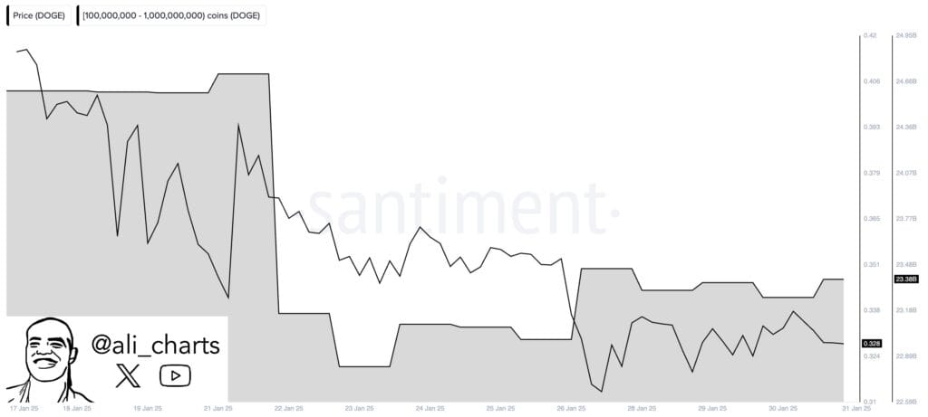 Dogecoin