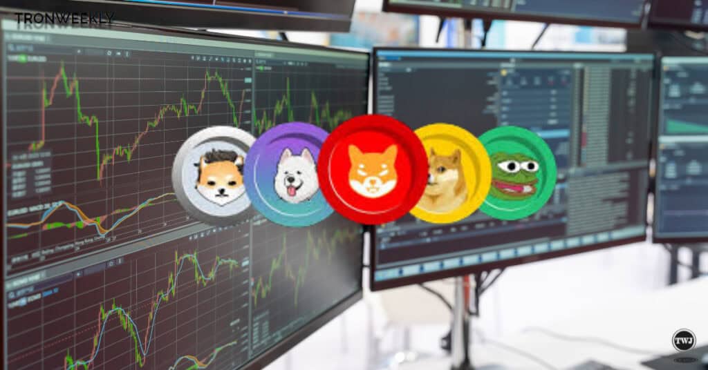 Memecoins Beyond Hype? CryptoQuant CEO Predicts Their Surprising Evolution