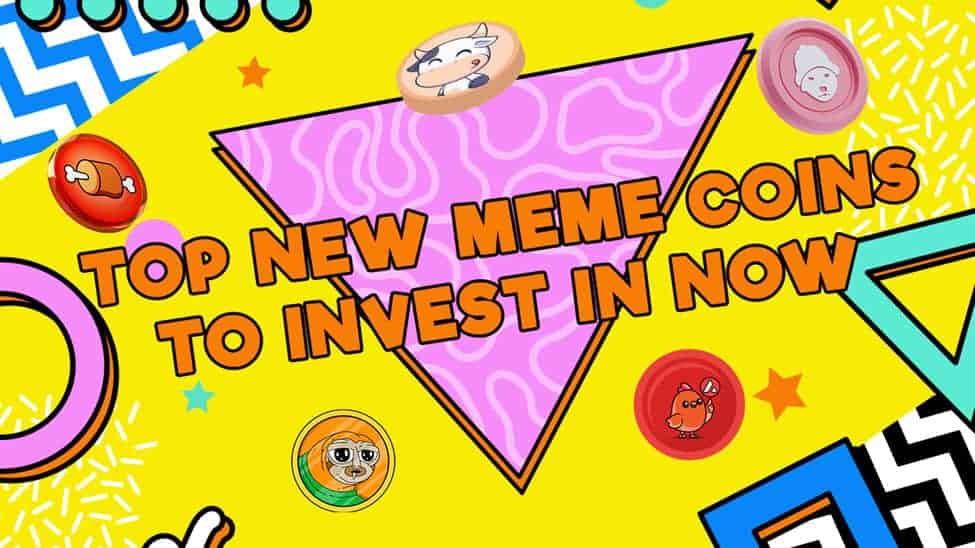 The 3 Best New Meme Coins to Buy and Hold for Long Term Gains Featuring a Chance To Earn Big with 90% APY on Staking