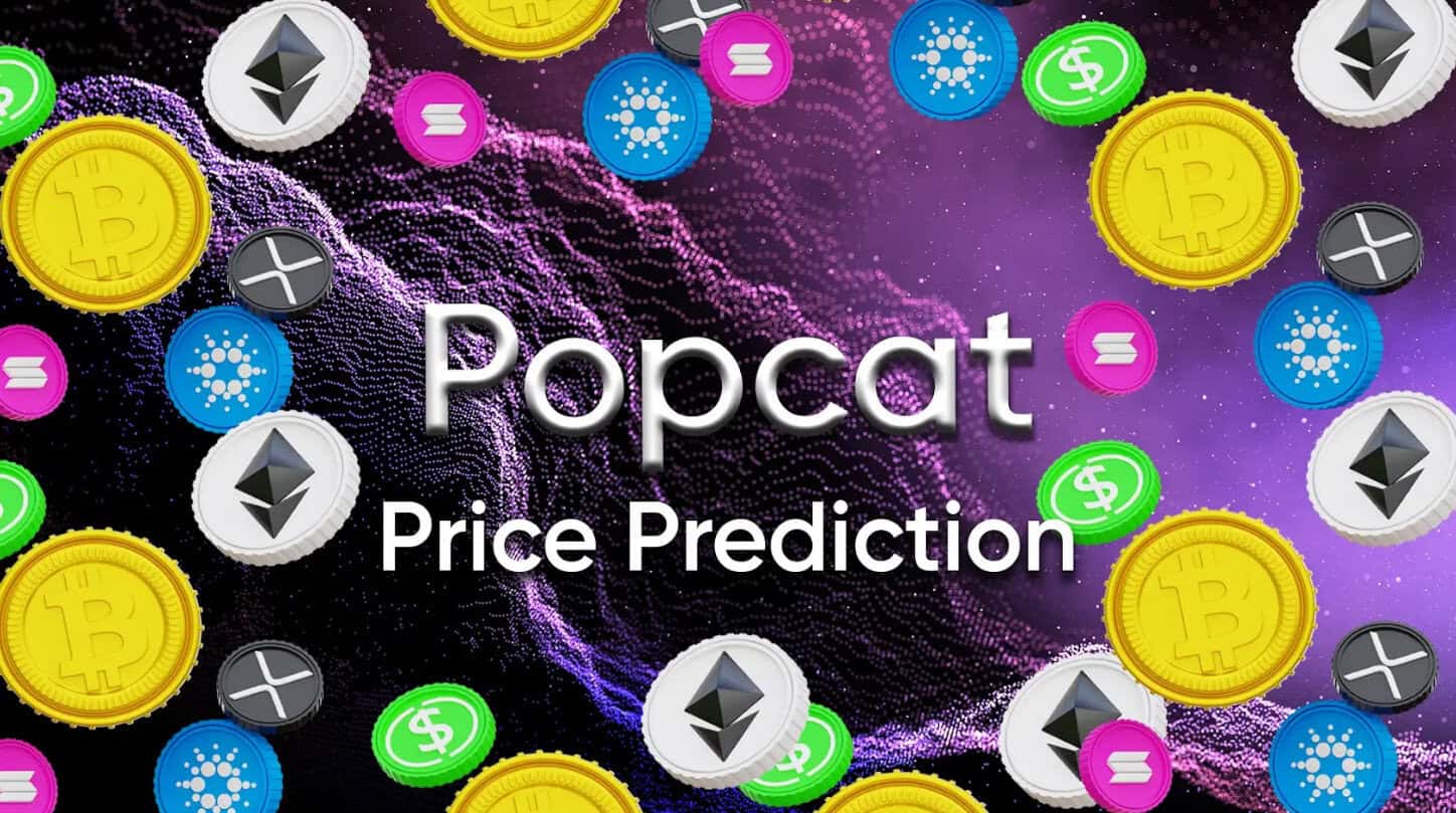 Popcat Price