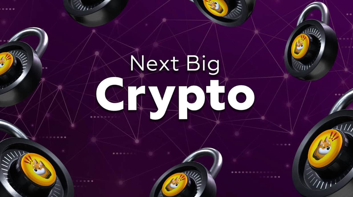 Next Big Crypto: Which Project Will Lead the Next Bull Run?